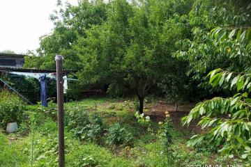 Фото №4: Дом 61 м² - Нижнекугоейский, ул. Молодёжная, 2