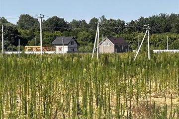 Фото №3: Земельный участок 10.77 сот. - Саратовская, ул. Каштановая, 27