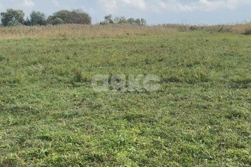 Фото №4: Личное подсобное хозяйство - Рогожкино, ул. Набережная