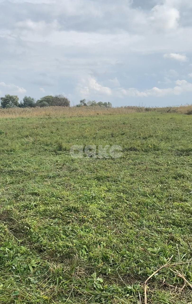 Фото №4: Личное подсобное хозяйство 15 сот. - Рогожкино, ул. Набережная