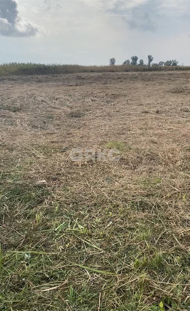 Фото №3: Личное подсобное хозяйство 15 сот. - Рогожкино, ул. Набережная