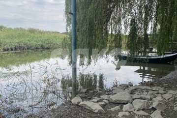 Фото №5: Личное подсобное хозяйство - Ростовская область Азовский район