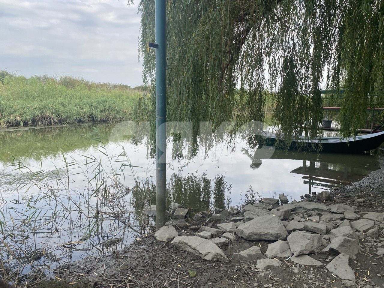 Фото №5: Личное подсобное хозяйство 15 сот. - Ростовская область Азовский район