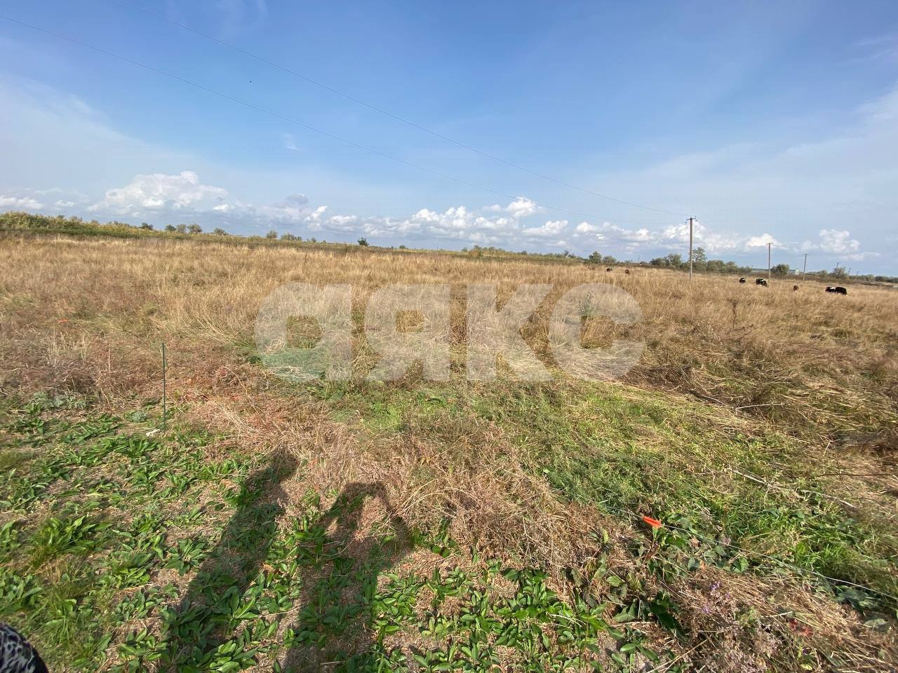 Фото №3: Личное подсобное хозяйство 30 сот. - Рогожкино