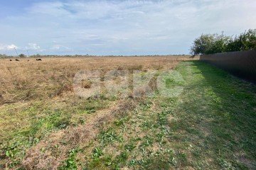 Фото №2: Личное подсобное хозяйство - Рогожкино, 