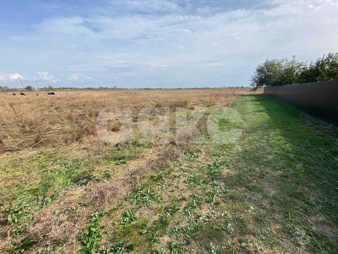 Фото №2: Личное подсобное хозяйство 30 сот. - Рогожкино