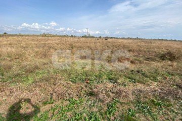 Фото №1: Личное подсобное хозяйство - Рогожкино, 