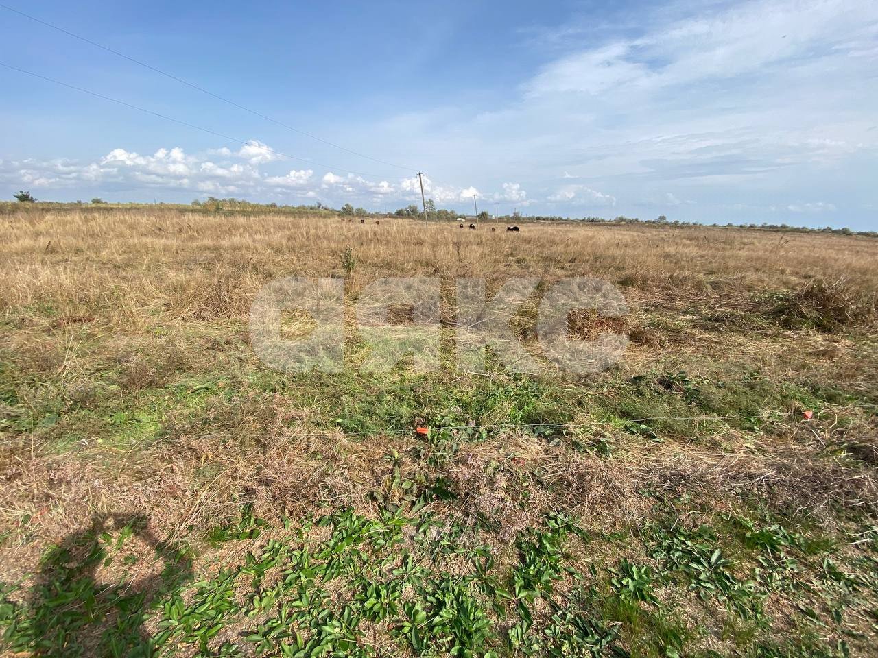 Фото №1: Личное подсобное хозяйство 30 сот. - Рогожкино