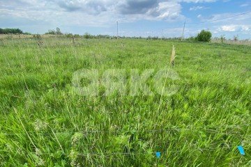 Фото №3: Личное подсобное хозяйство - Ростовская область Азовский район