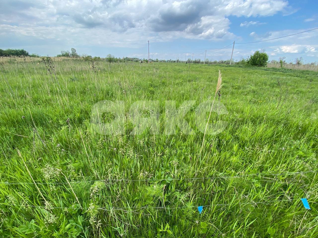 Фото №3: Личное подсобное хозяйство 15 сот. - Ростовская область Азовский район