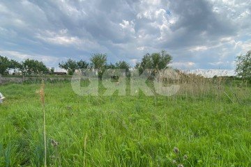 Фото №5: Личное подсобное хозяйство - Ростовская область Азовский район