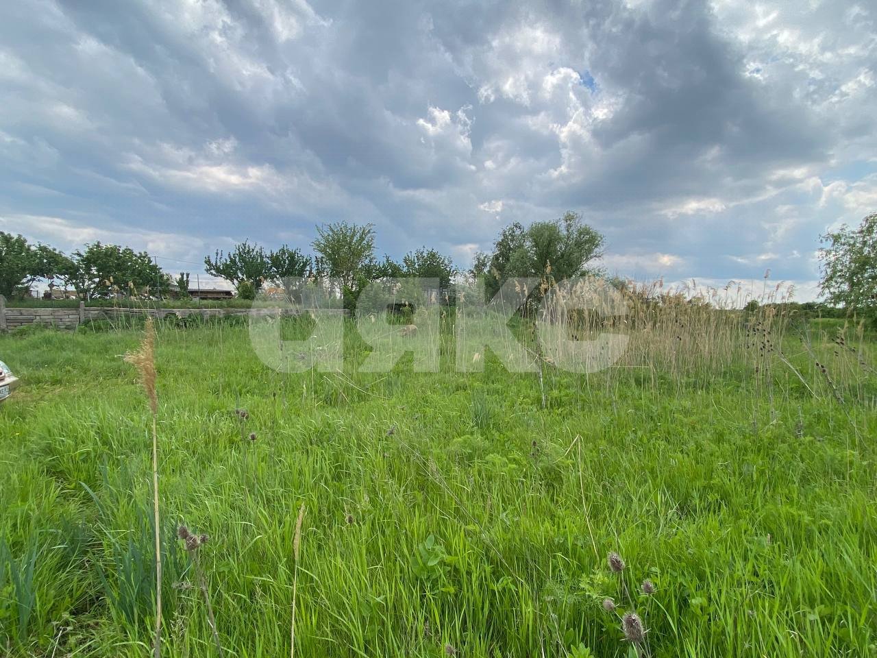 Фото №5: Личное подсобное хозяйство 15 сот. - Ростовская область Азовский район