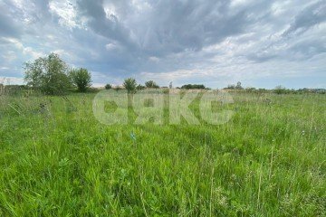 Фото №4: Личное подсобное хозяйство - Ростовская область Азовский район