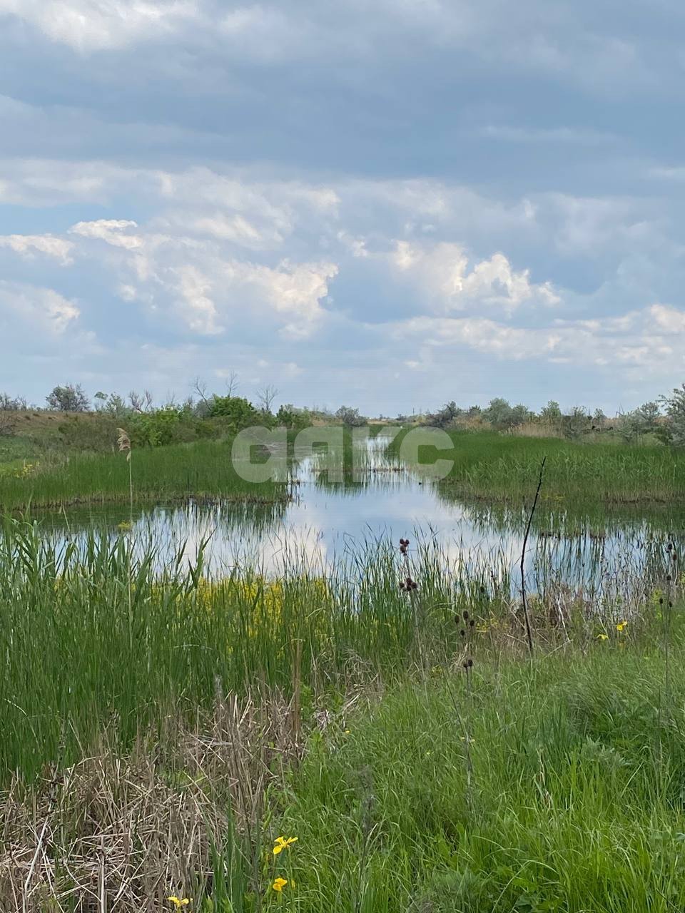 Фото №1: Личное подсобное хозяйство 15 сот. - Ростовская область Азовский район