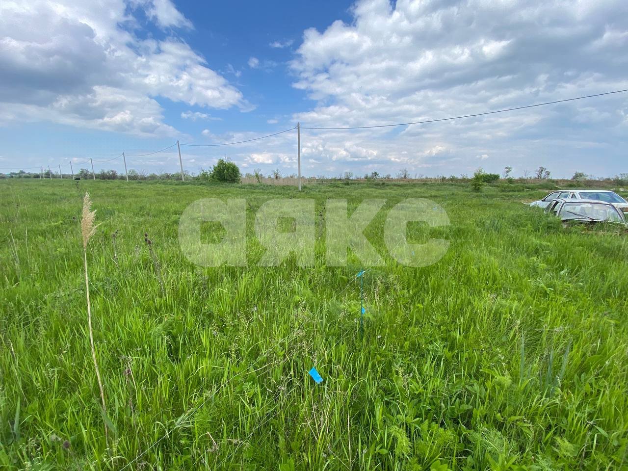 Фото №2: Личное подсобное хозяйство 15 сот. - Ростовская область Азовский район