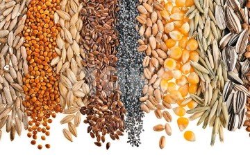 Фото №1: Коммерческая земля - Темерницкий, ул. Спортивная, 6