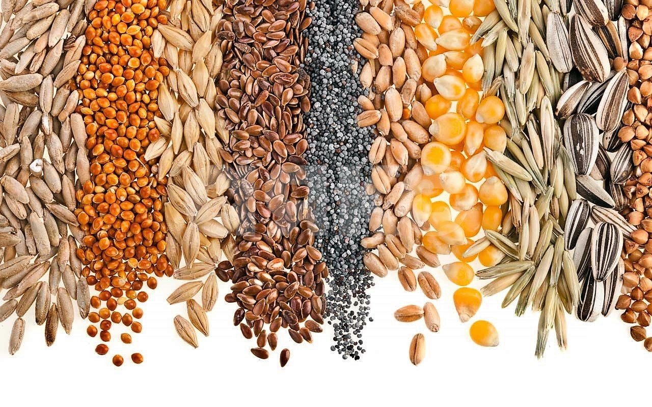 Фото №1: Коммерческая земля 5000 сот. - Темерницкий, ул. Спортивная, 6