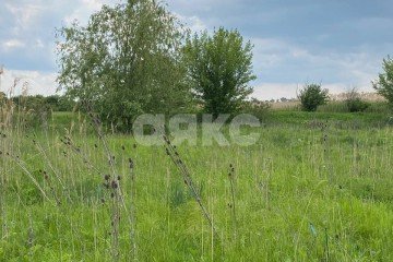 Фото №4: Личное подсобное хозяйство - Ростовская область Азовский район