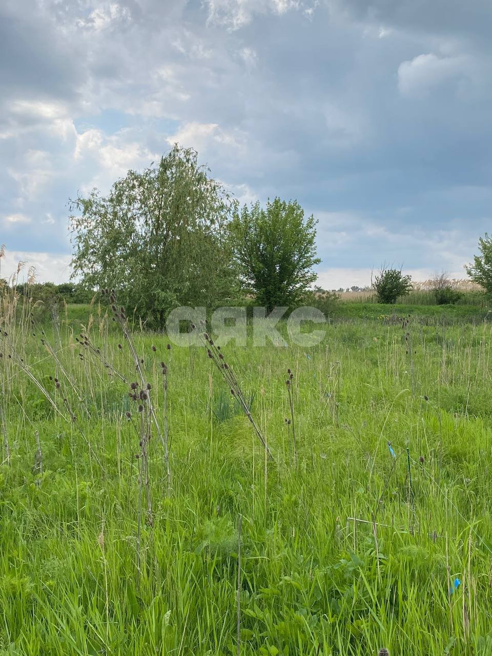 Фото №4: Личное подсобное хозяйство 30 сот. - Ростовская область Азовский район