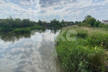 Фото №1: Личное подсобное хозяйство - Ростовская область Азовский район