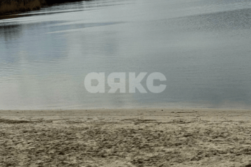 Фото №2: Личное подсобное хозяйство - Ростовская область Азовский район