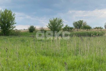 Фото №3: Личное подсобное хозяйство - Ростовская область Азовский район