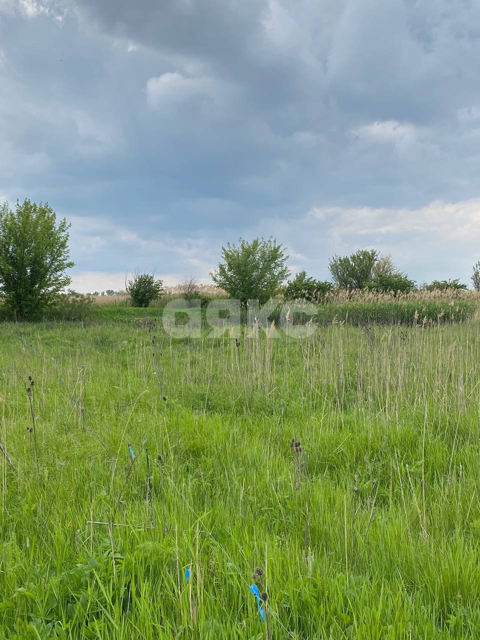 Фото №3: Личное подсобное хозяйство 30 сот. - Ростовская область Азовский район