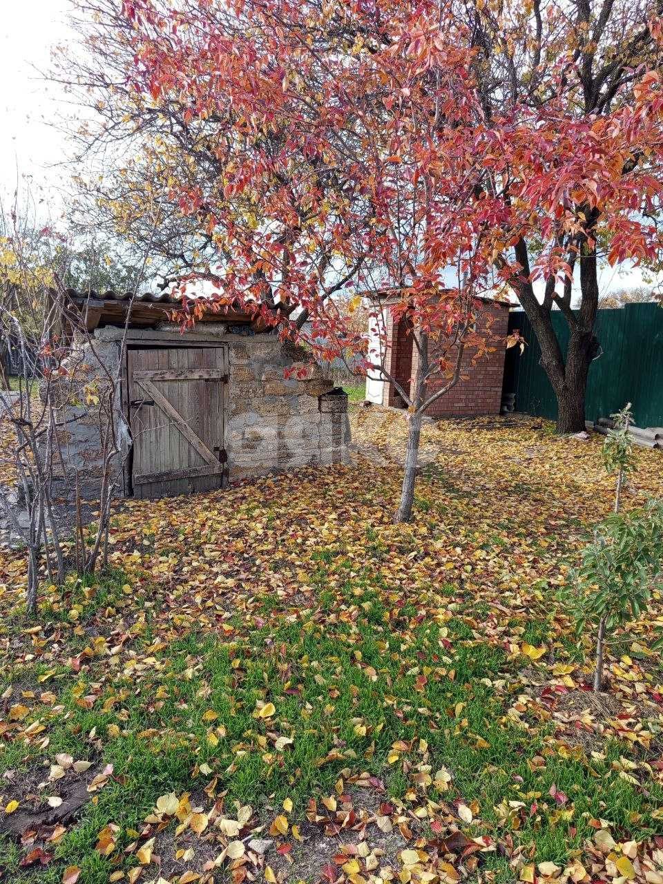 Фото №11: Дом 52 м² + 5.5 сот. - Мускатный, ул. Виноградная, 10