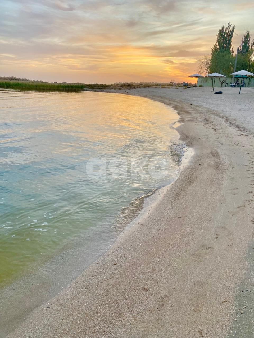 Фото №3: Коммерция 2000 м² - Натальевка, ул. Чехова, 224