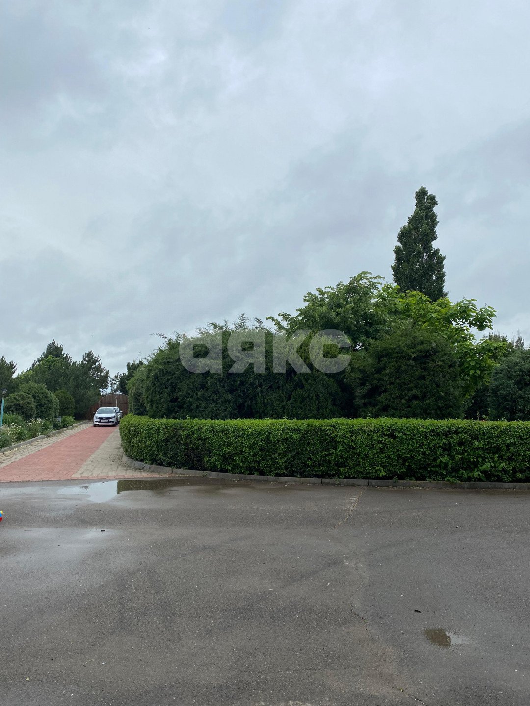 Фото №5: Коммерция 2000 м² - Натальевка, ул. Чехова, 224