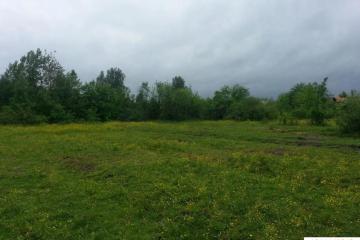 Фото №2: Земельный участок 9.27 сот. - Новобжегокай, ул. Ленина, 11