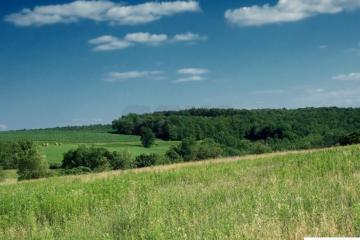 Фото №3: Земельный участок 9.27 сот. - Новобжегокай, ул. Ленина, 11