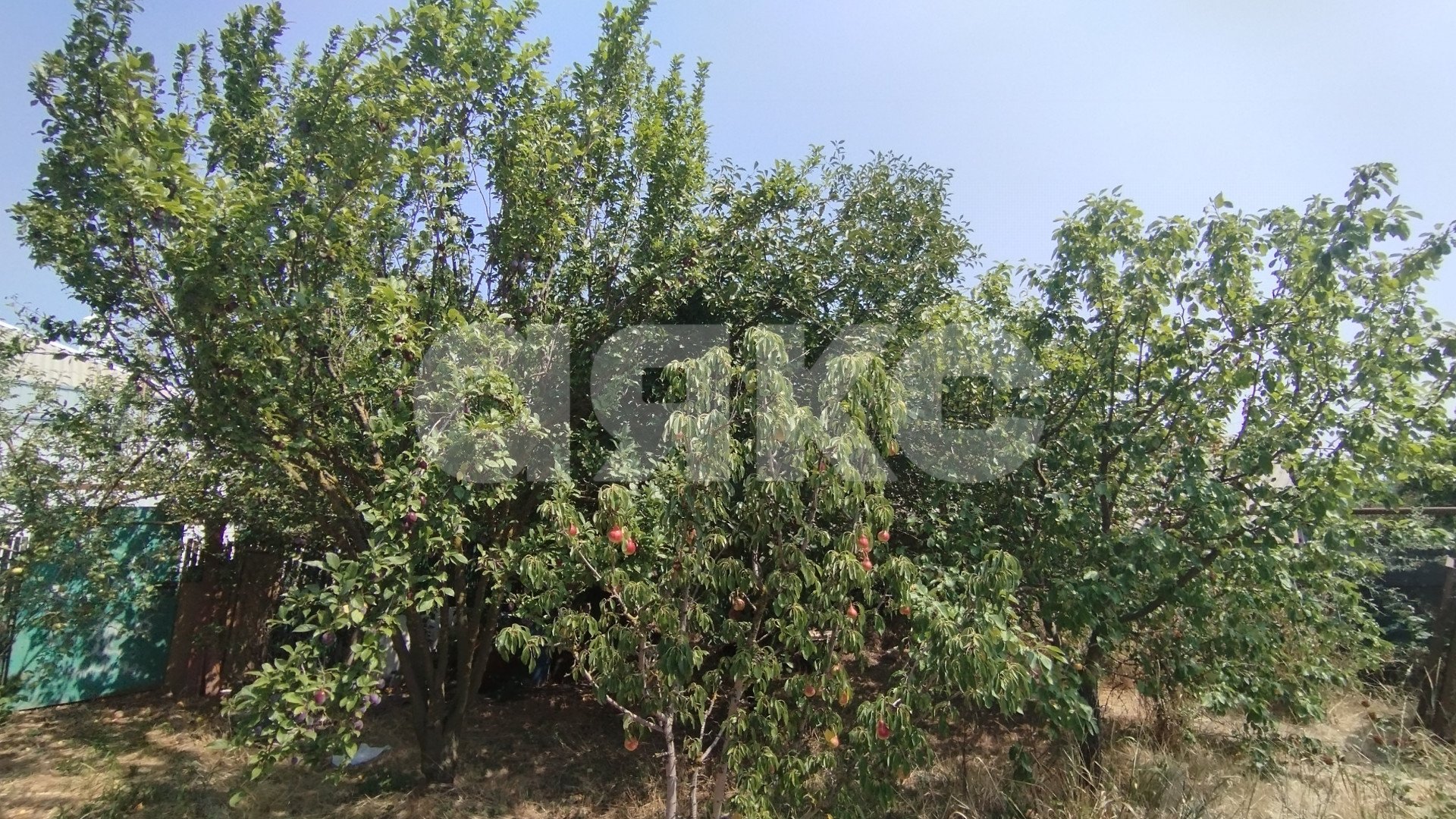 Фото №26: Дом 170 м² + 10 сот. - Реконструктор, ул. Платова, 43