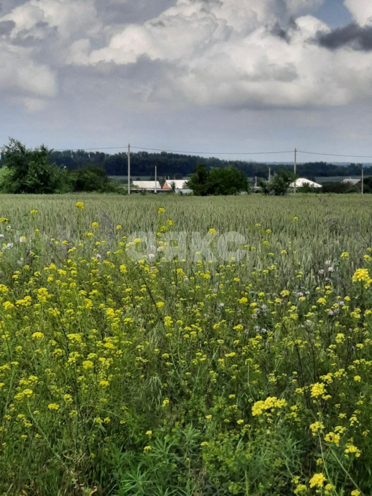Фото №1: Земельный участок под ИЖС 28 сот. - Красный Крым, ул. Юбилейная, 43