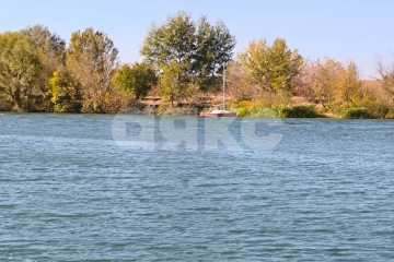 Фото №1: Личное подсобное хозяйство - Реконструктор, ул. Транспортная, 31