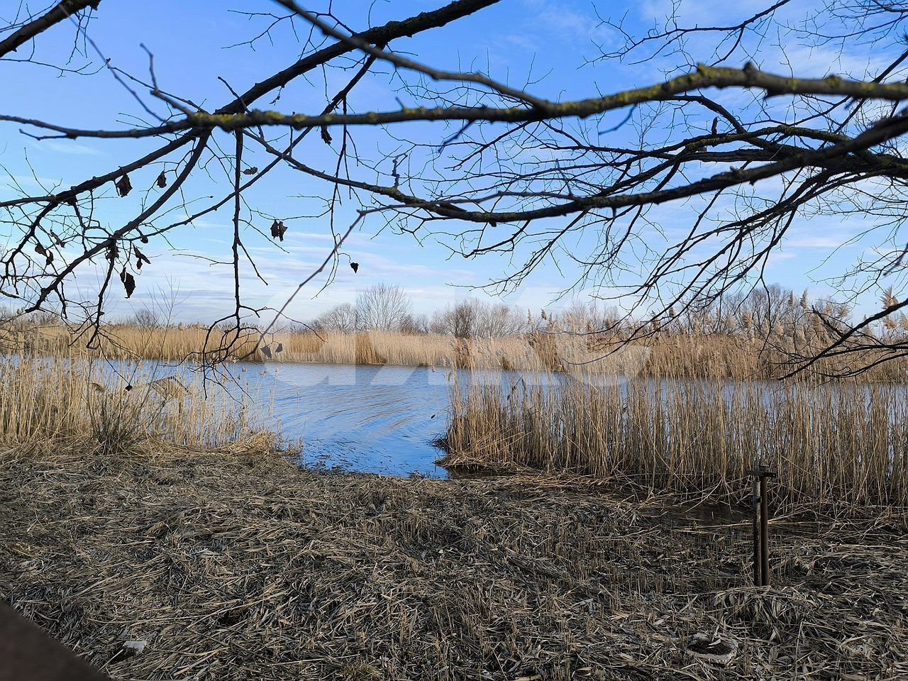 Фото №2: Земельный участок под ИЖС 7 сот. - Аксай, п. Берданосовка, ул. Лермонтова, 35