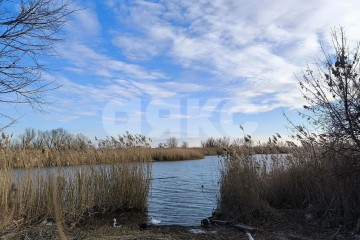 Фото №4: Земельный участок под ИЖС - Аксай, п. Берданосовка, ул. Лермонтова, 35
