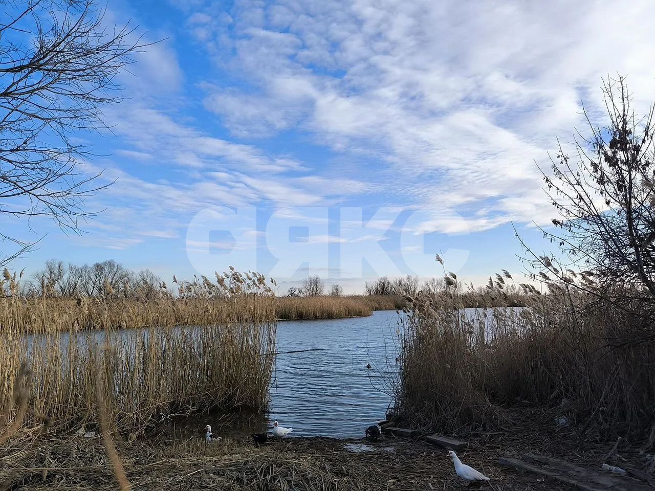 Фото №4: Земельный участок под ИЖС 7 сот. - Аксай, п. Берданосовка, ул. Лермонтова, 35