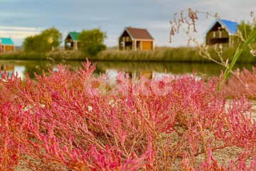 Фото №2: Коммерция 9000 м² - Чумбур-Коса, 