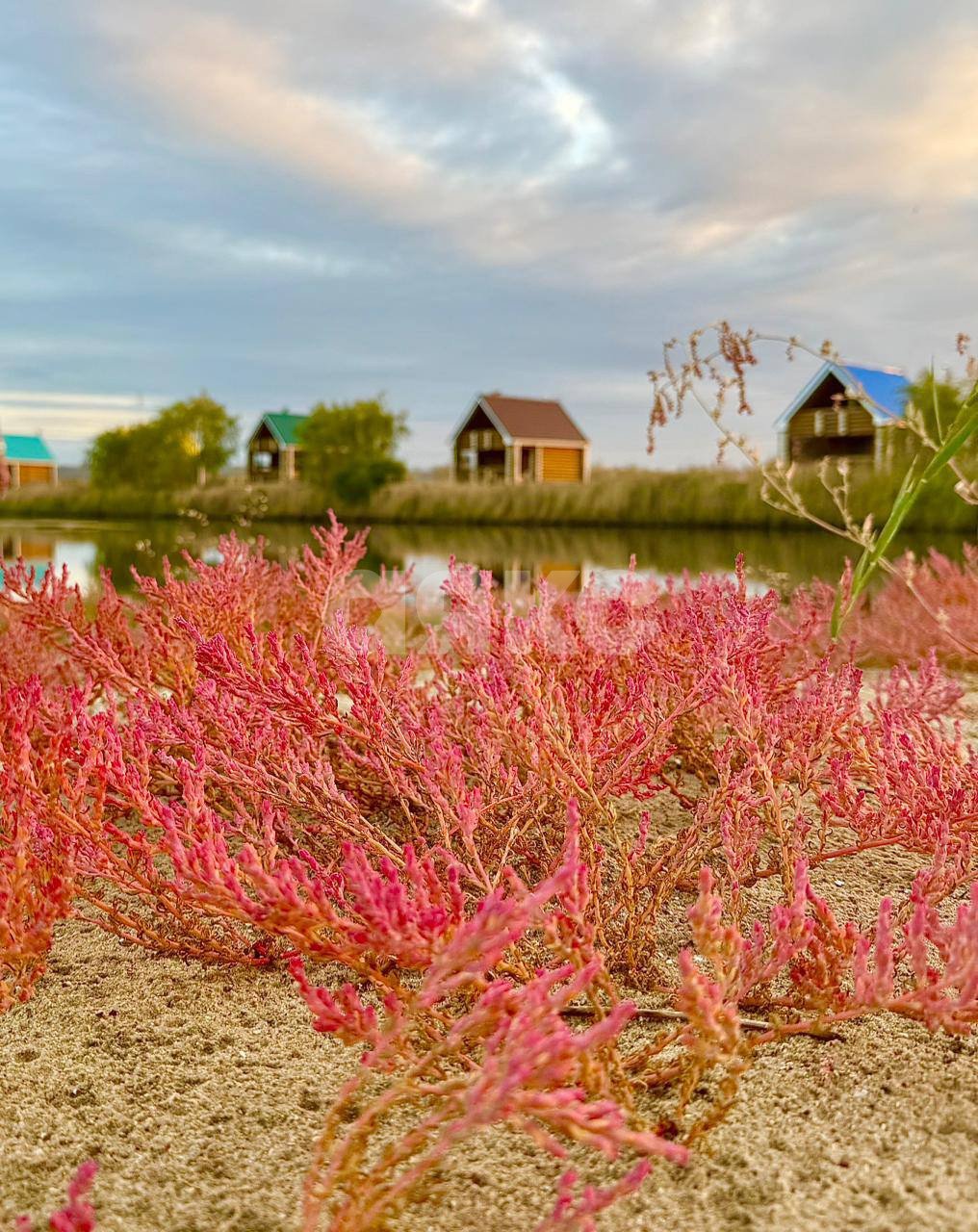 Фото №2: Коммерция 9000 м² - Чумбур-Коса