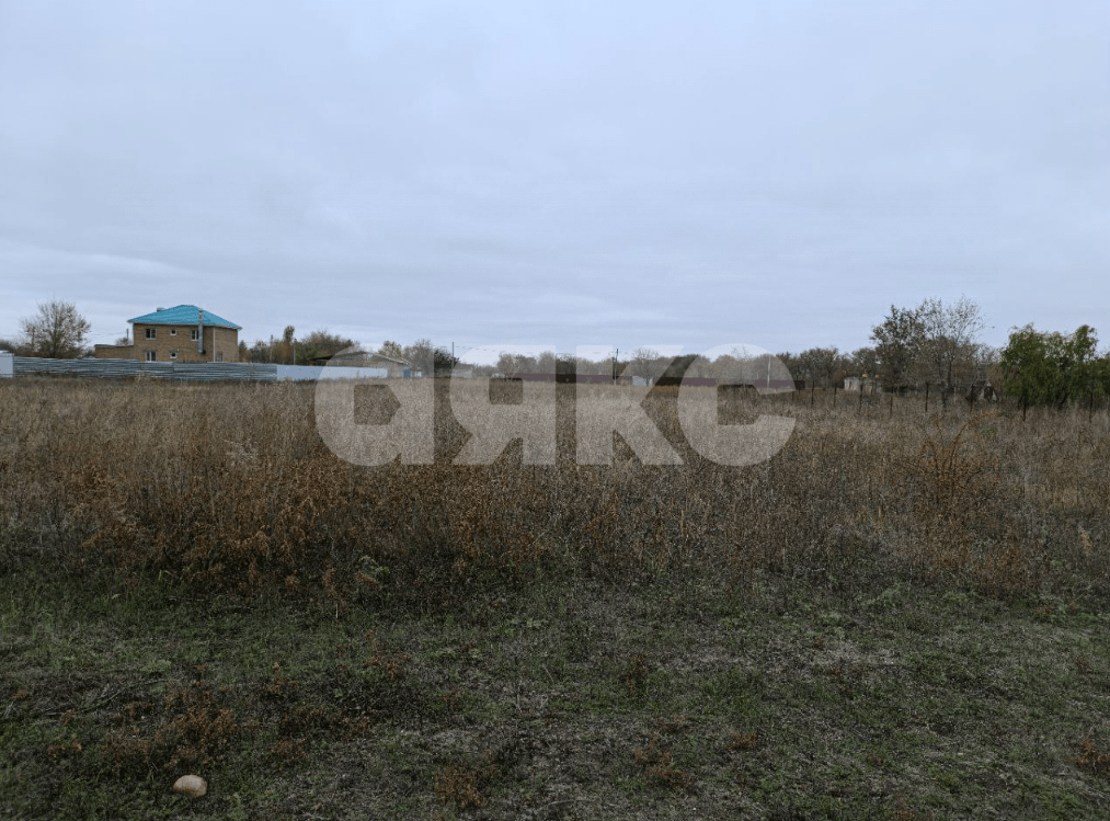 Фото №5: Коммерческая земля 24 сот. - Дорожный, ул. Короткая, 7